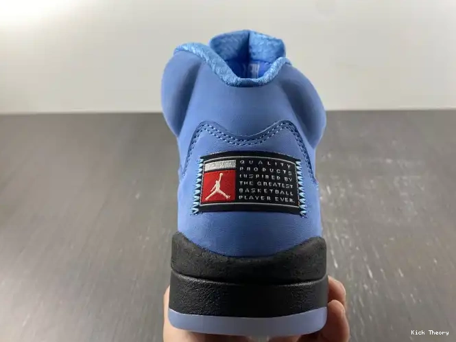 Kicktheory Air UNC 5 Jordan DV1310-401 0530
